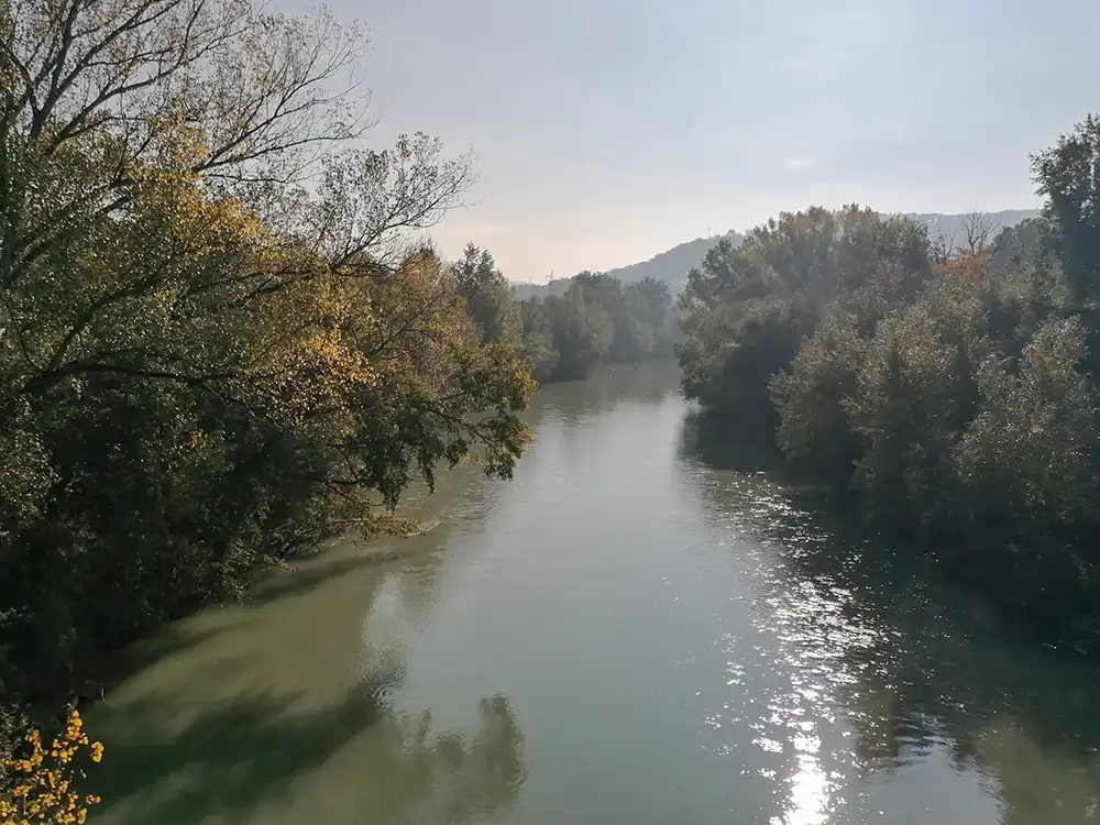 Tiepidi raggi di sole il giorno di San Martino.